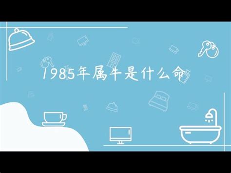 1985屬什麼